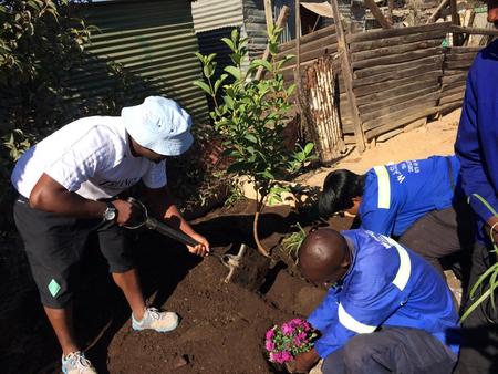 Planting Toilet Garden