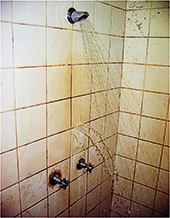 Shower Failure E 