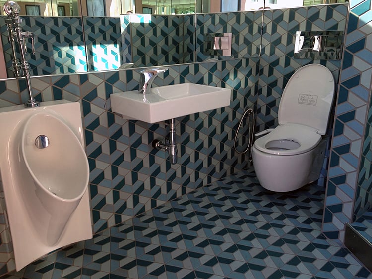 The new toilet