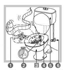 Raising the toilet issue in India
