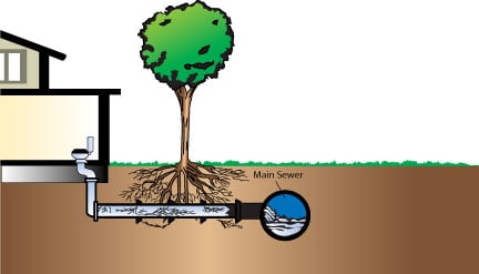 School closes to find the root cause of big problem