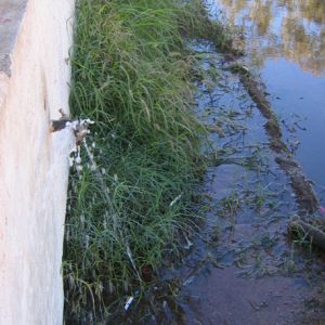 Water drainage issues due to leaking tap