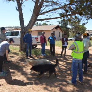 Community Plumbing Challenge